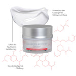 RS DermoConcept - Collagen Management - Collagen Booster Cream 50ml